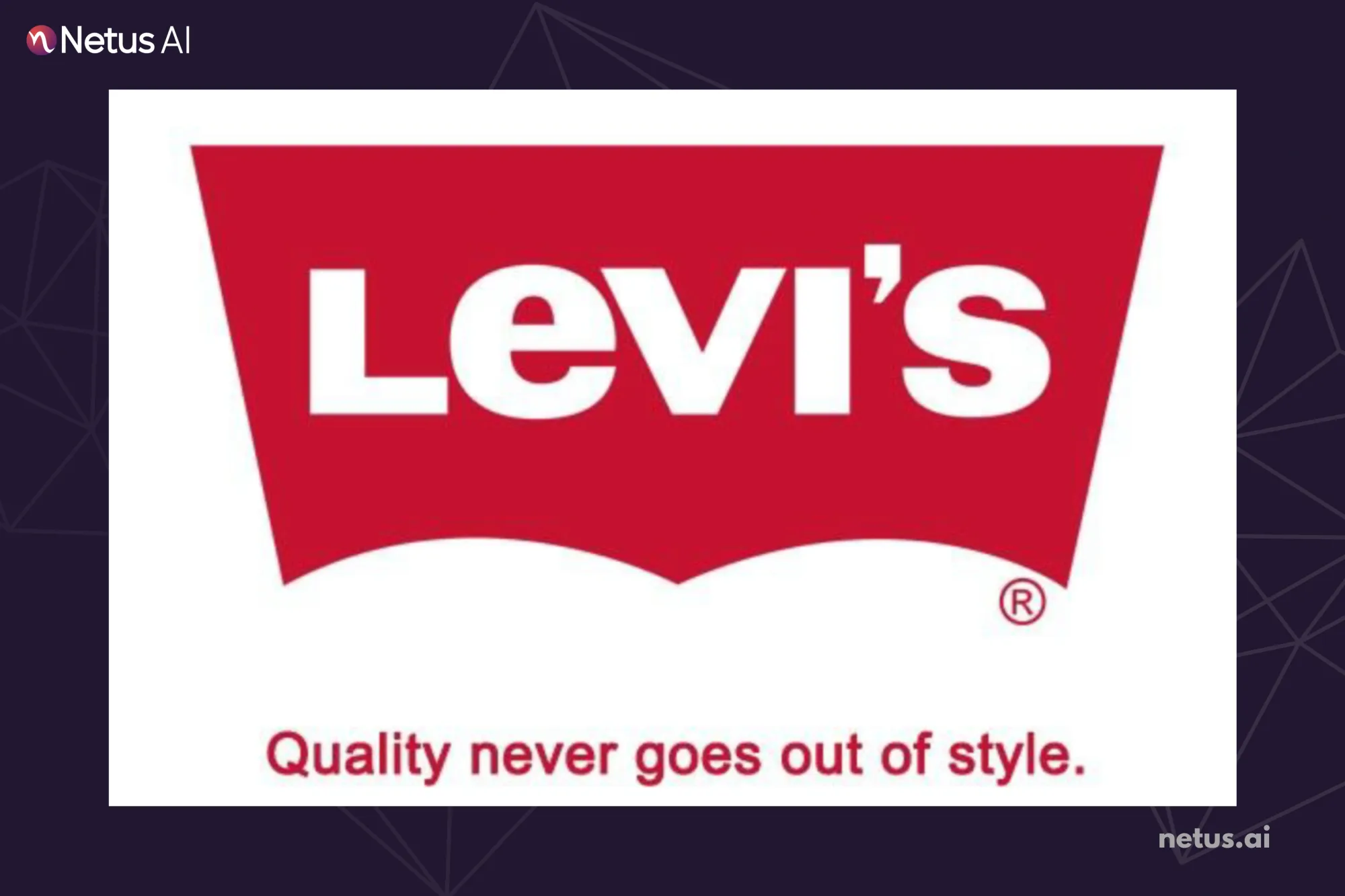 Example of Slogans Focused on the Brand's Promise, NetusAI