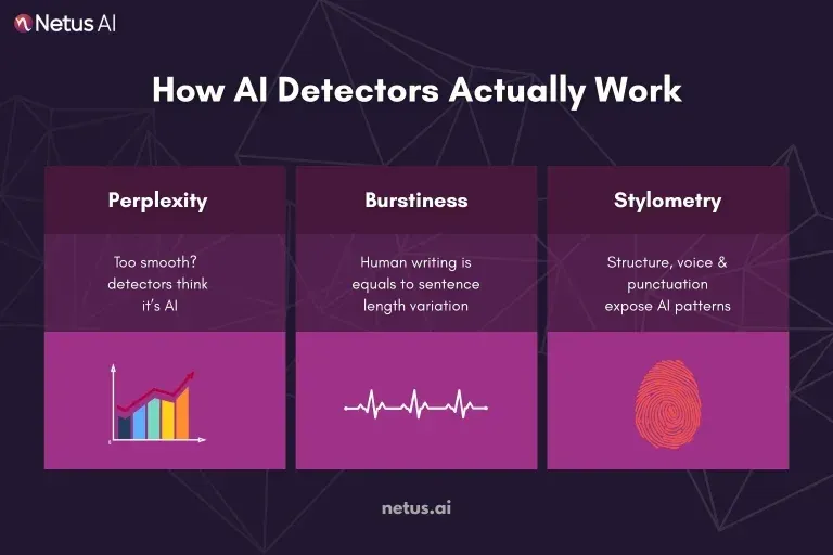 A graphic showing the main steps of how AI detectors actually work.