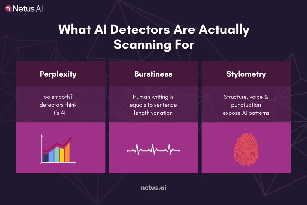 What AI Detectors Are Actually Scanning For?, NetusAI