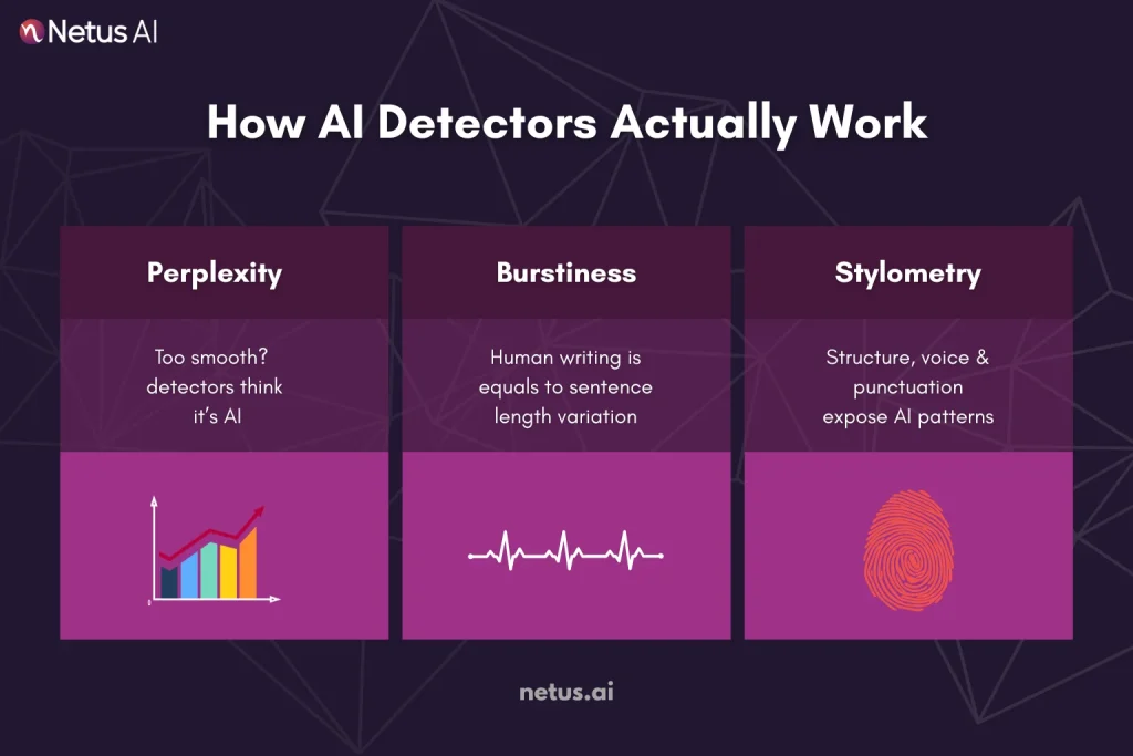 How AI Detectors Actually Work, NetusAI