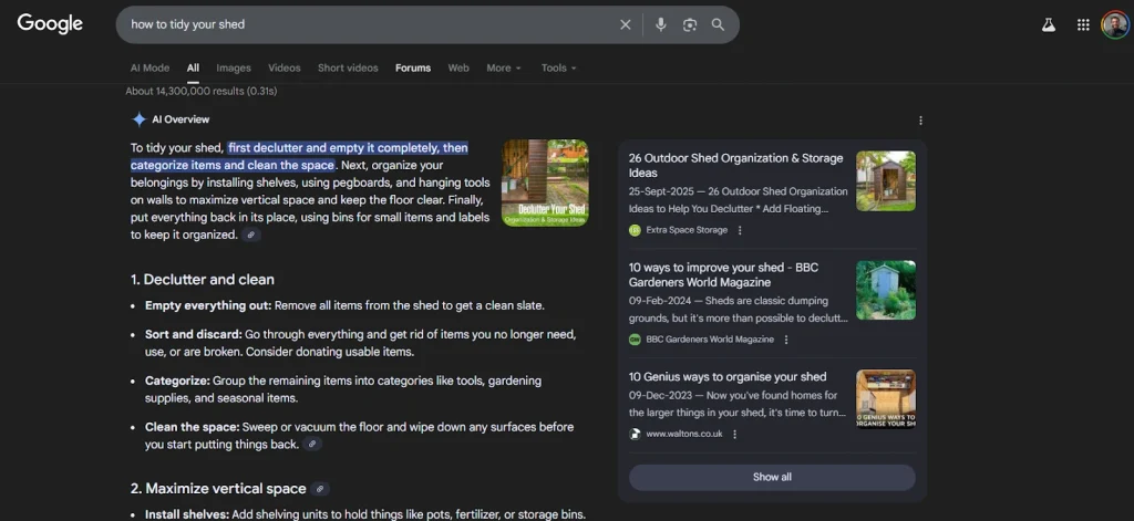 AI Overviews Explained, NetusAI