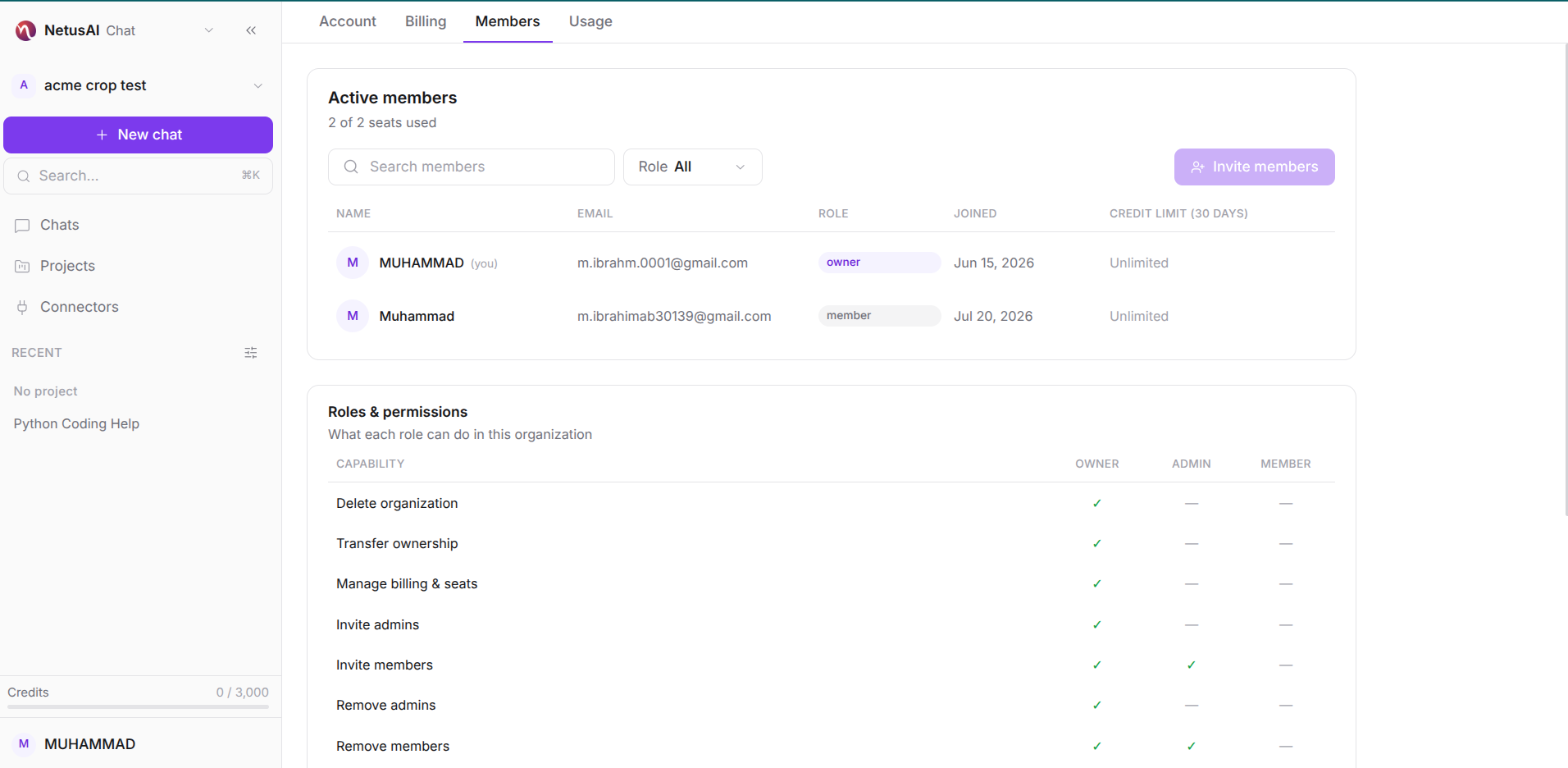 NetusAI Chat organization workspace with shared projects, member chats, and one pooled credit meter for the team