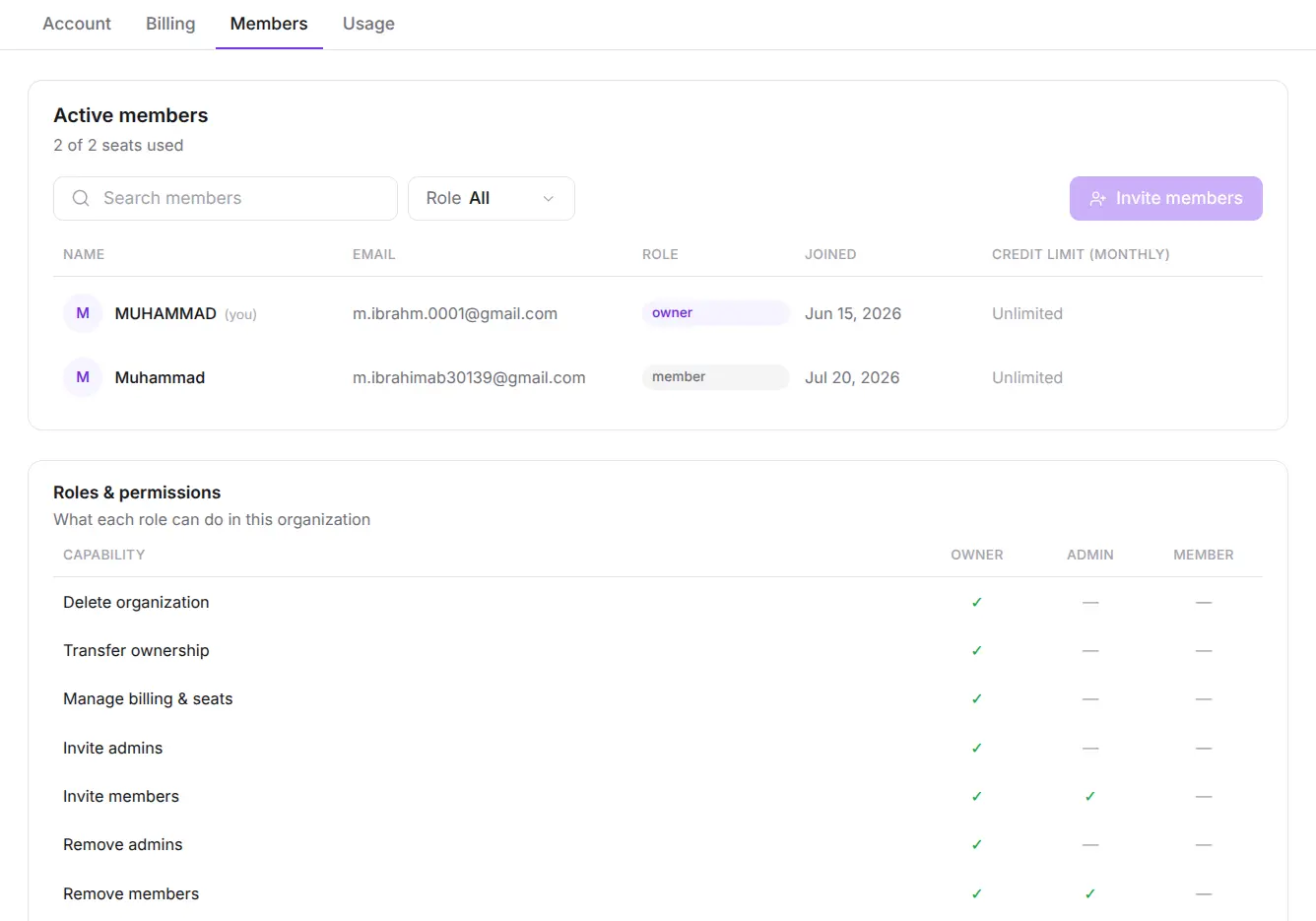 Netus AI Chat organization workspace with shared projects, member chats, and one pooled credit meter for the team
