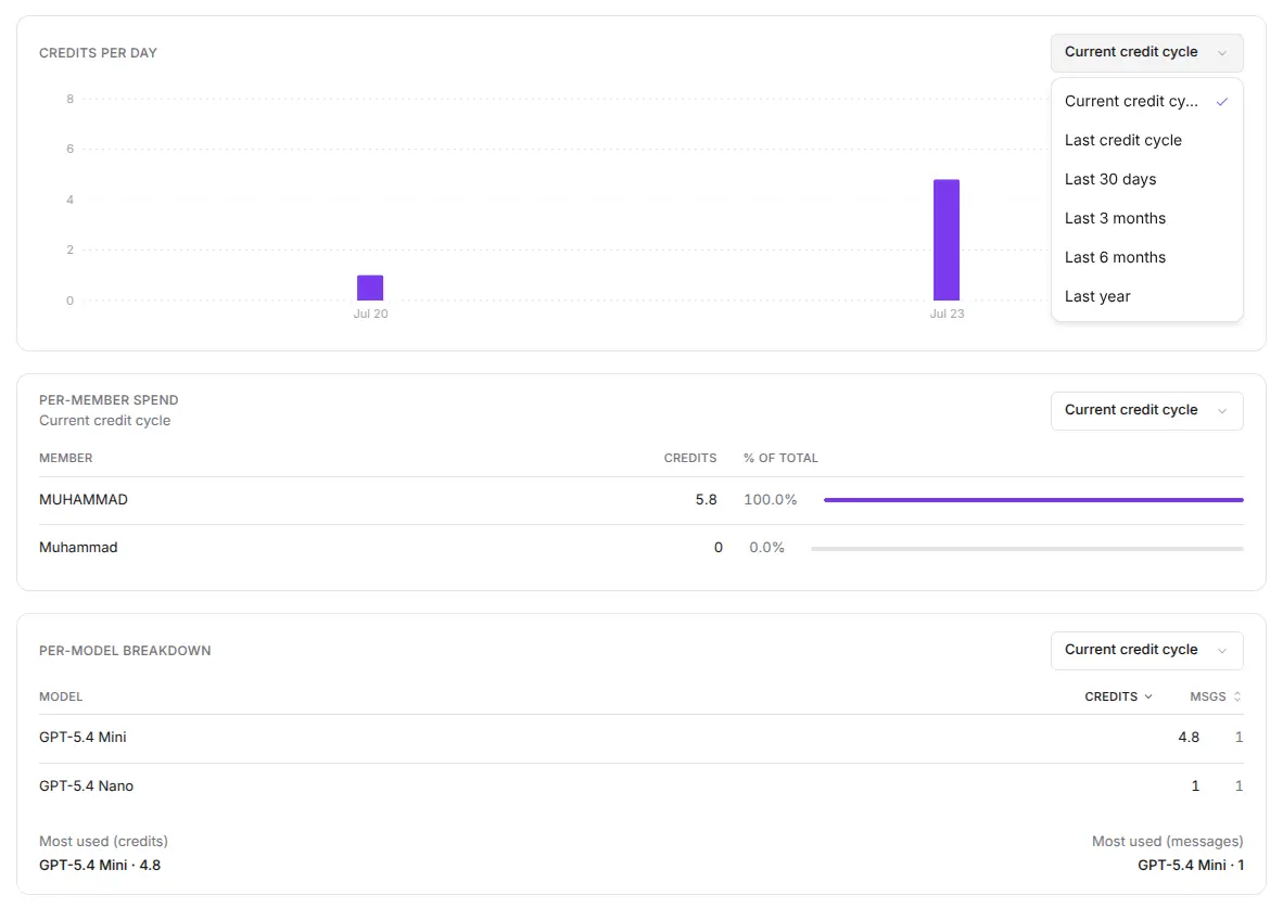 Netus AI organization usage screen showing pooled credits, per-member spend shares, and per-model totals