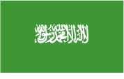 Netus AI Arabic paraphrasing logo