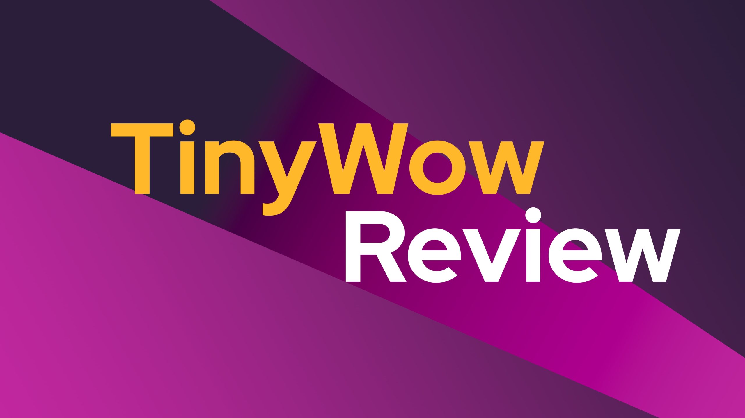 Tinywow Review